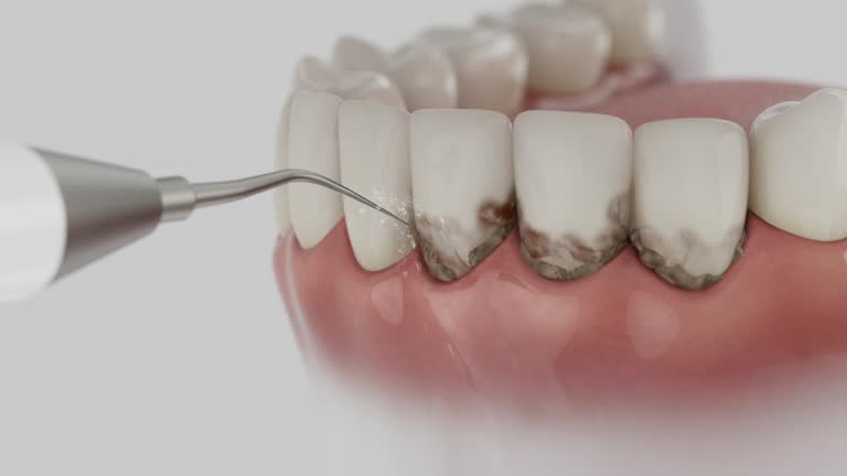 Reliable Dental contractor in Baldwin, GA by Dentist Open Now